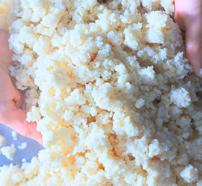 展示・アトラクション